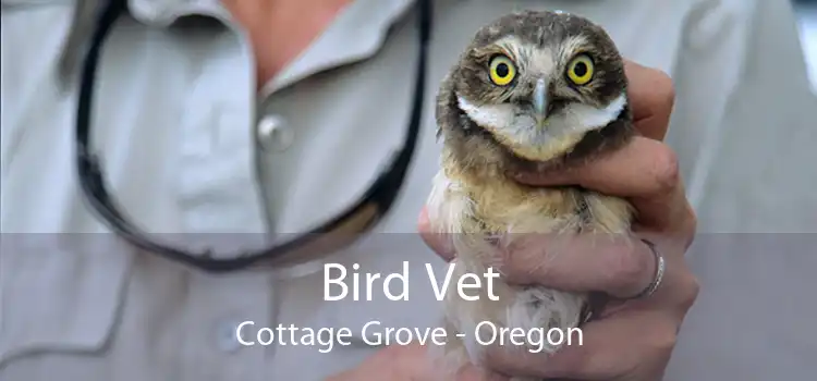 Bird Vet Cottage Grove - Oregon