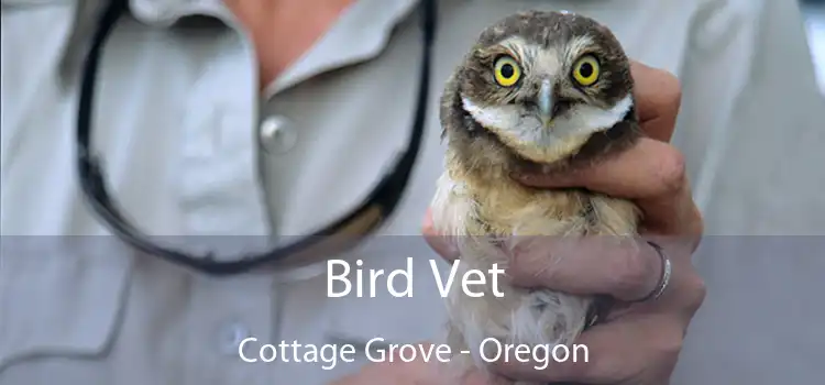 Bird Vet Cottage Grove - Oregon