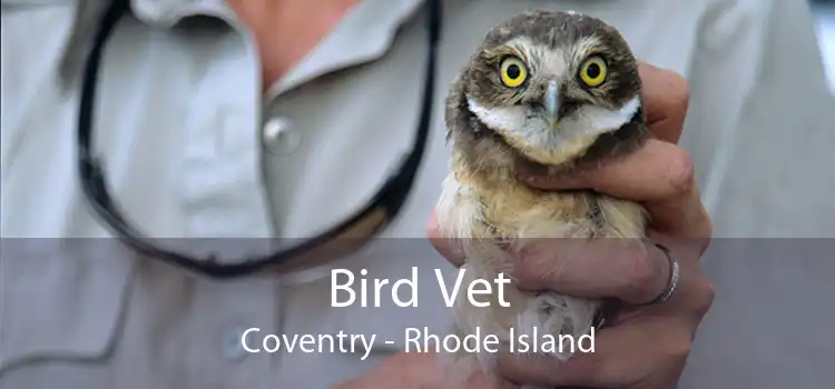 Bird Vet Coventry - Rhode Island