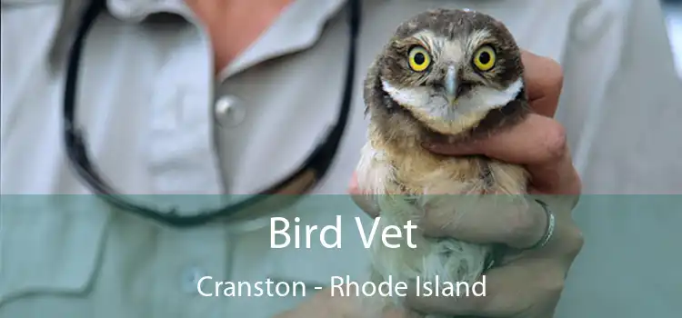 Bird Vet Cranston - Rhode Island