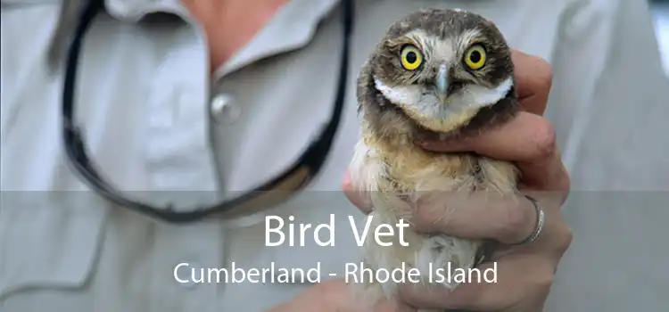 Bird Vet Cumberland - Rhode Island
