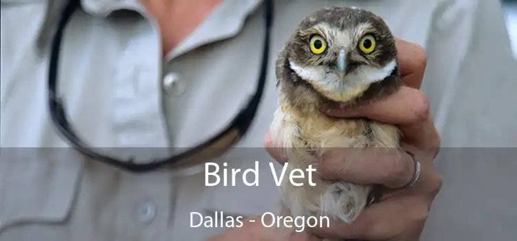 Bird Vet Dallas - Oregon