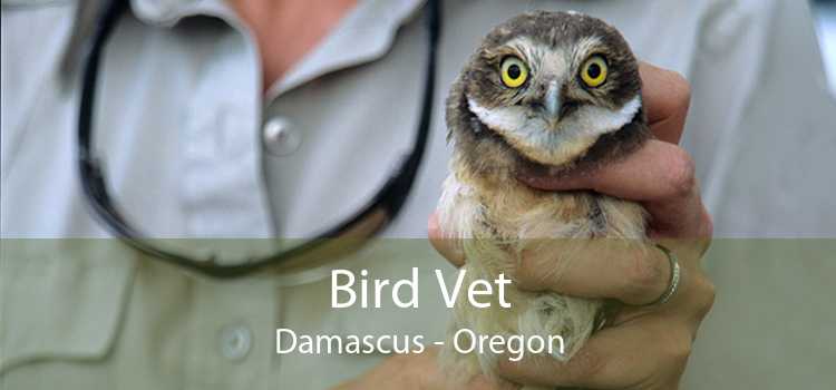 Bird Vet Damascus - Oregon