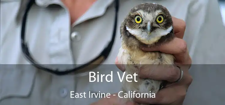 Bird Vet East Irvine - California