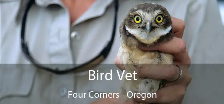 Bird Vet Four Corners - Oregon