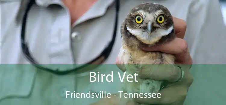 Bird Vet Friendsville - Tennessee