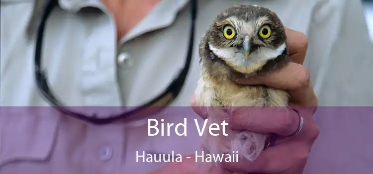 Bird Vet Hauula - Hawaii