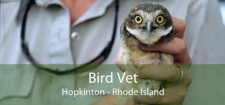 Bird Vet Hopkinton - Rhode Island