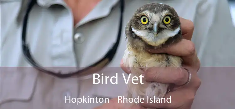 Bird Vet Hopkinton - Rhode Island