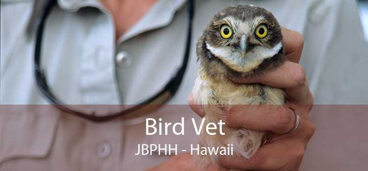 Bird Vet JBPHH - Hawaii