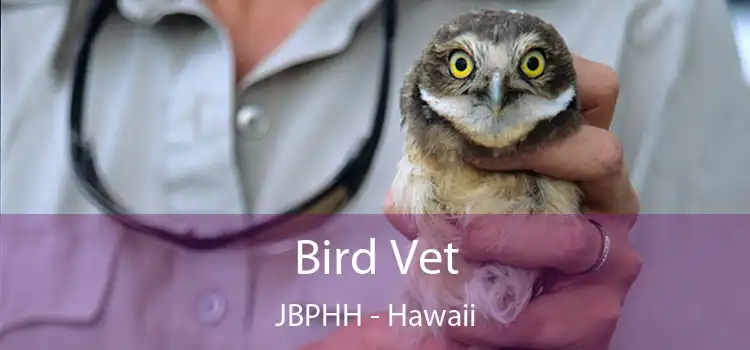 Bird Vet JBPHH - Hawaii