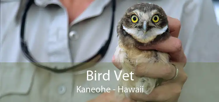 Bird Vet Kaneohe - Hawaii