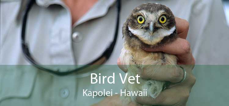 Bird Vet Kapolei - Hawaii