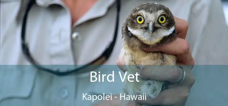 Bird Vet Kapolei - Hawaii