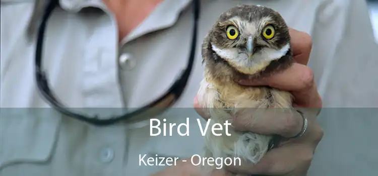 Bird Vet Keizer - Oregon