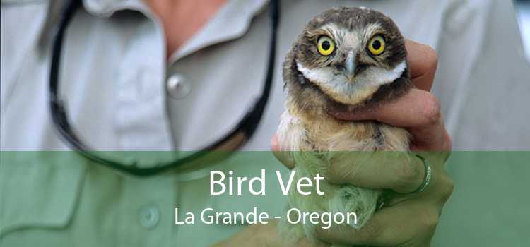Bird Vet La Grande - Oregon