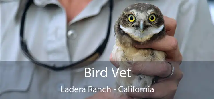 Bird Vet Ladera Ranch - California