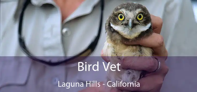 Bird Vet Laguna Hills - California
