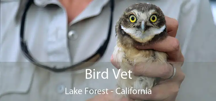 Bird Vet Lake Forest - California