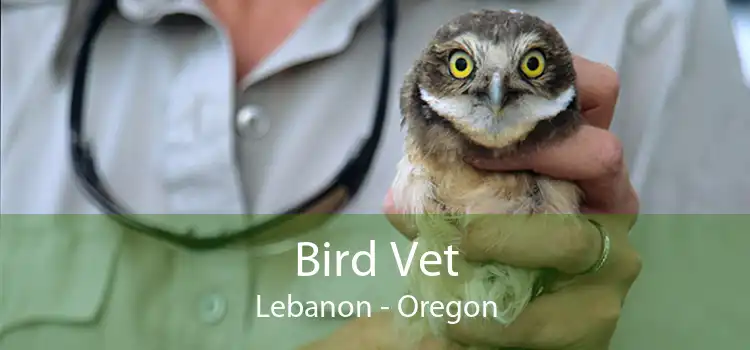 Bird Vet Lebanon - Oregon
