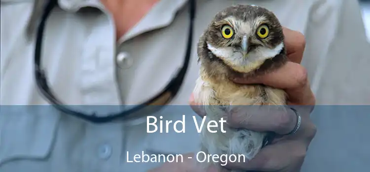 Bird Vet Lebanon - Oregon