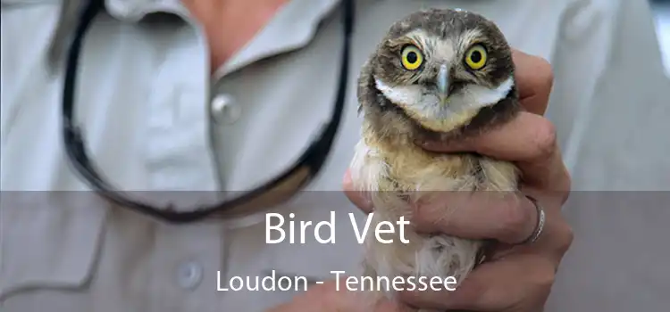 Bird Vet Loudon - Tennessee