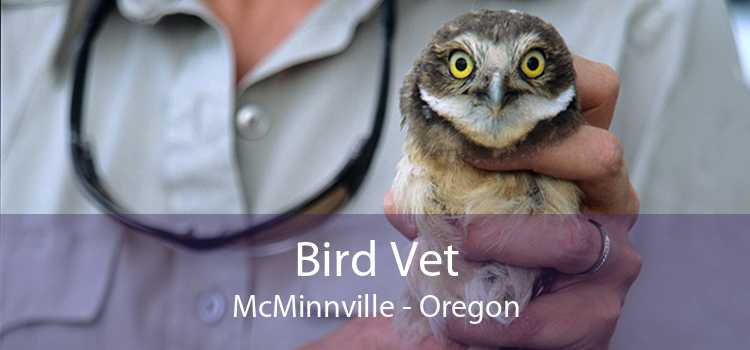 Bird Vet McMinnville - Oregon