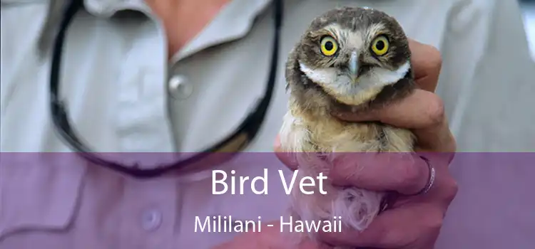 Bird Vet Mililani - Hawaii
