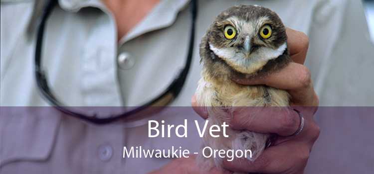 Bird Vet Milwaukie - Oregon