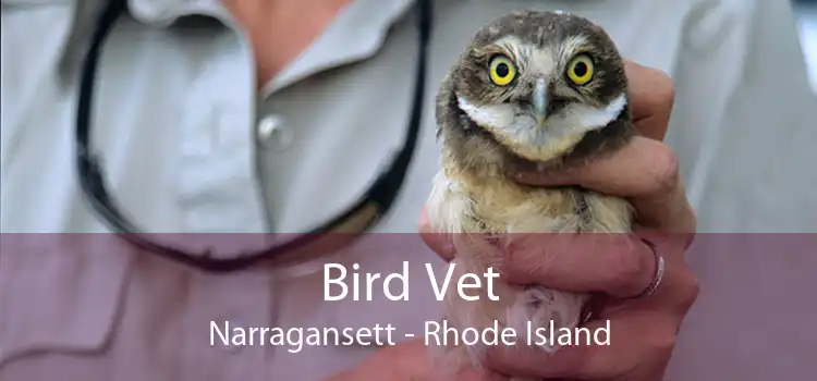 Bird Vet Narragansett - Rhode Island