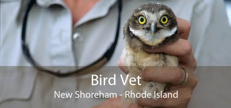 Bird Vet New Shoreham - Rhode Island