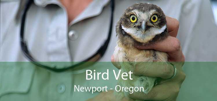 Bird Vet Newport - Oregon
