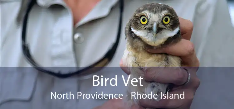 Bird Vet North Providence - Rhode Island