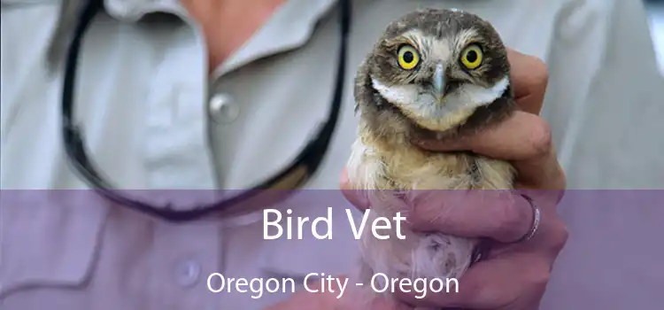 Bird Vet Oregon City - Oregon