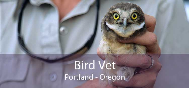 Bird Vet Portland - Oregon
