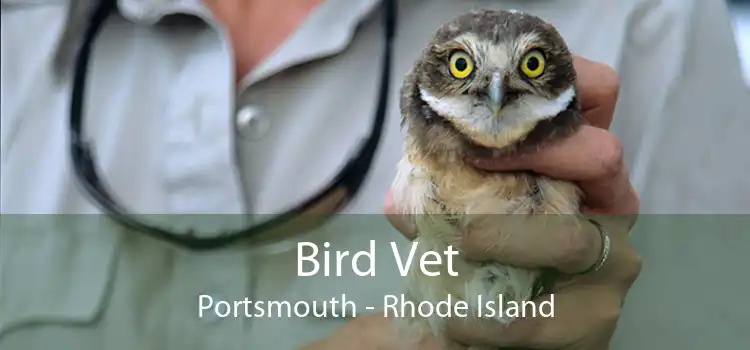 Bird Vet Portsmouth - Rhode Island