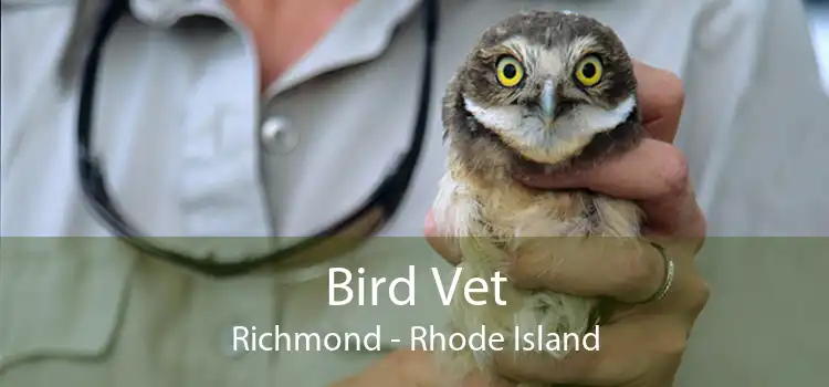 Bird Vet Richmond - Rhode Island
