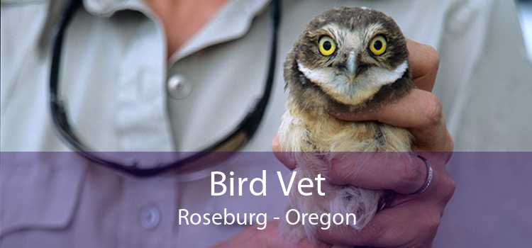 Bird Vet Roseburg - Oregon