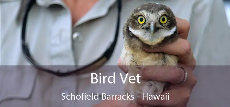 Bird Vet Schofield Barracks - Hawaii