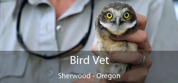 Bird Vet Sherwood - Oregon
