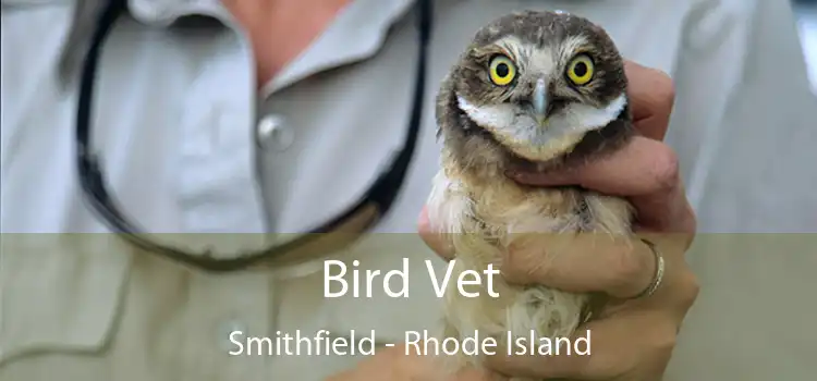 Bird Vet Smithfield - Rhode Island