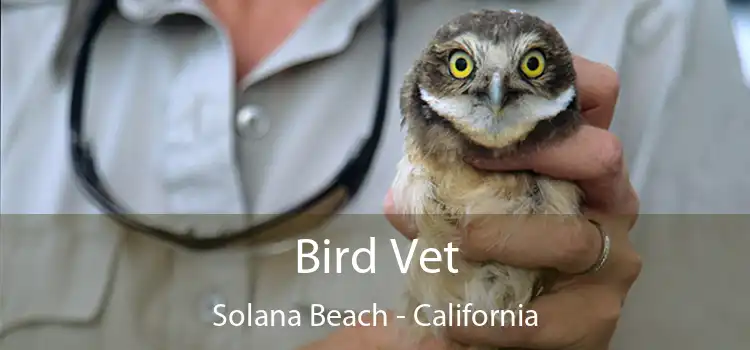 Bird Vet Solana Beach - California
