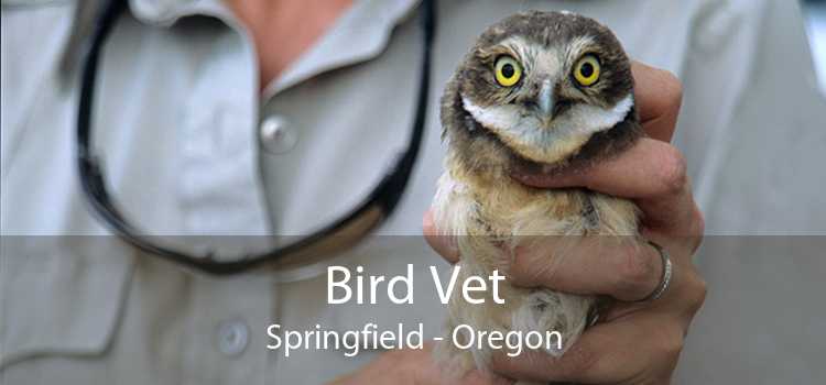 Bird Vet Springfield - Oregon