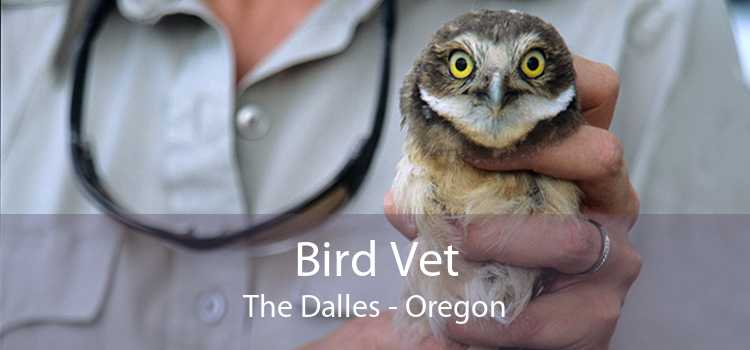 Bird Vet The Dalles - Oregon