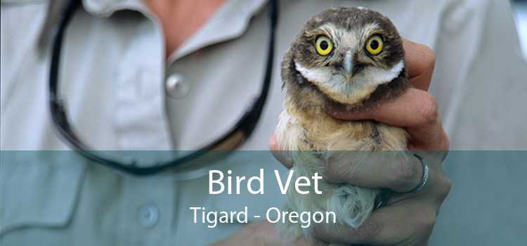 Bird Vet Tigard - Oregon