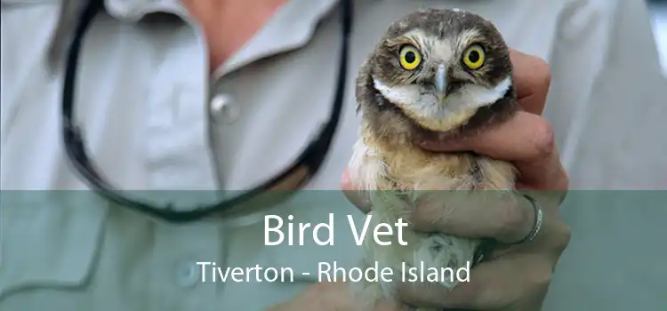 Bird Vet Tiverton - Rhode Island
