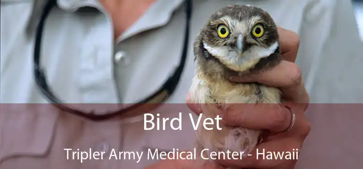 Bird Vet Tripler Army Medical Center - Hawaii