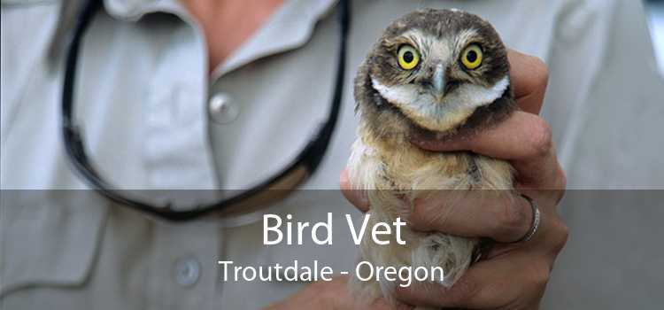 Bird Vet Troutdale - Oregon