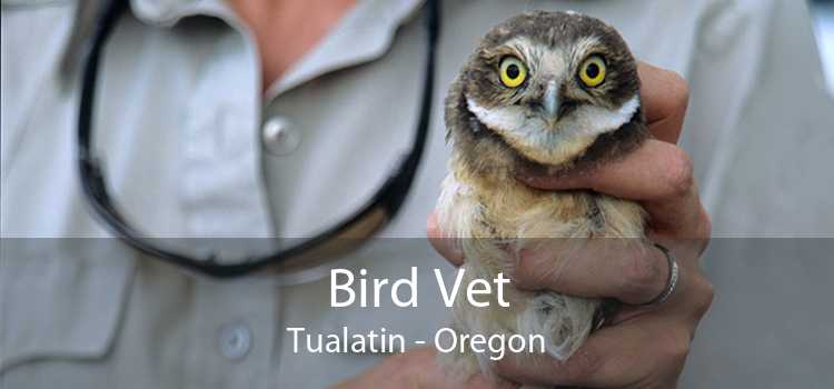 Bird Vet Tualatin - Oregon