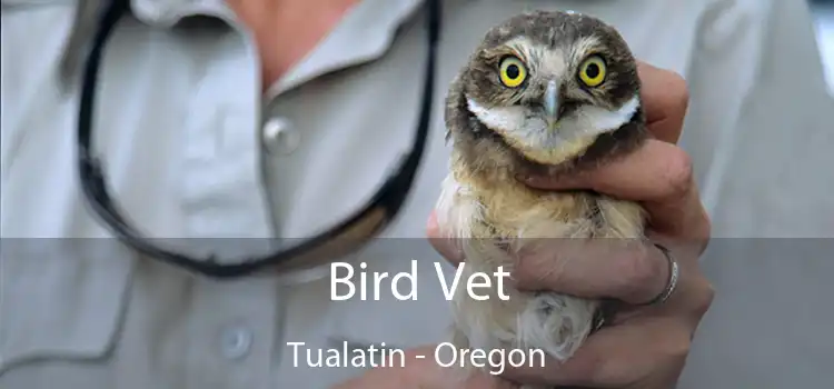 Bird Vet Tualatin - Oregon